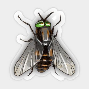 Bugs-3 Housefly Sticker